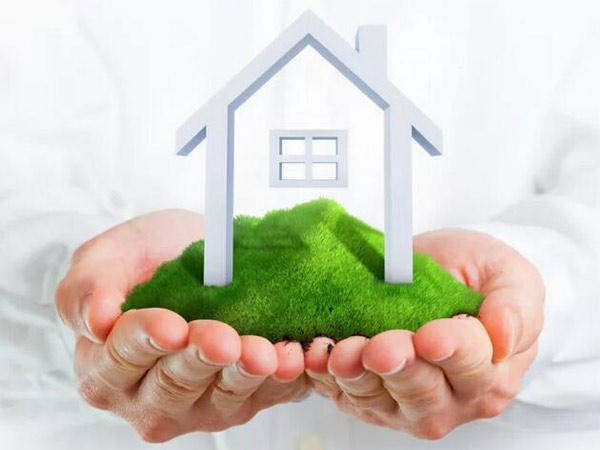 1615362070605666.jpg N01.jpg